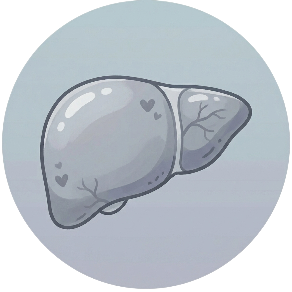 RG Lively Gray Theme